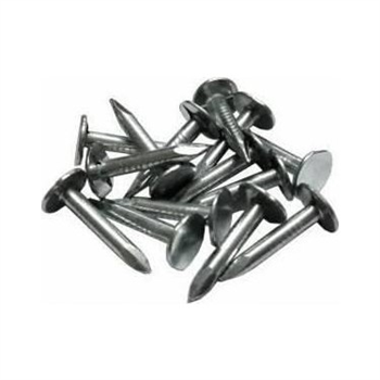 ŞINGIL ÇİVİ 2 CM / 30